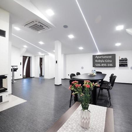Apartament Iwona Kobyla Góra Buitenkant foto