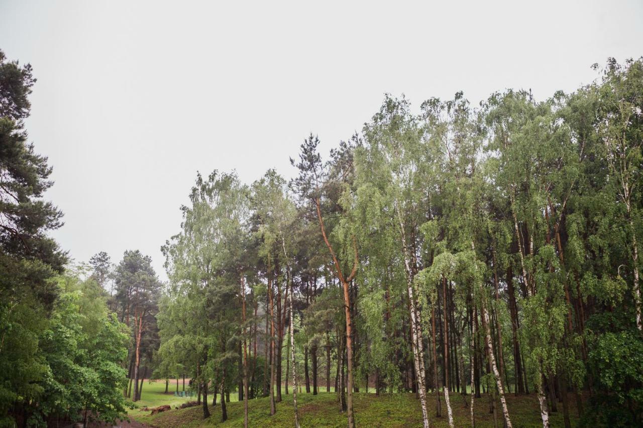 Apartament Iwona Kobyla Góra Buitenkant foto